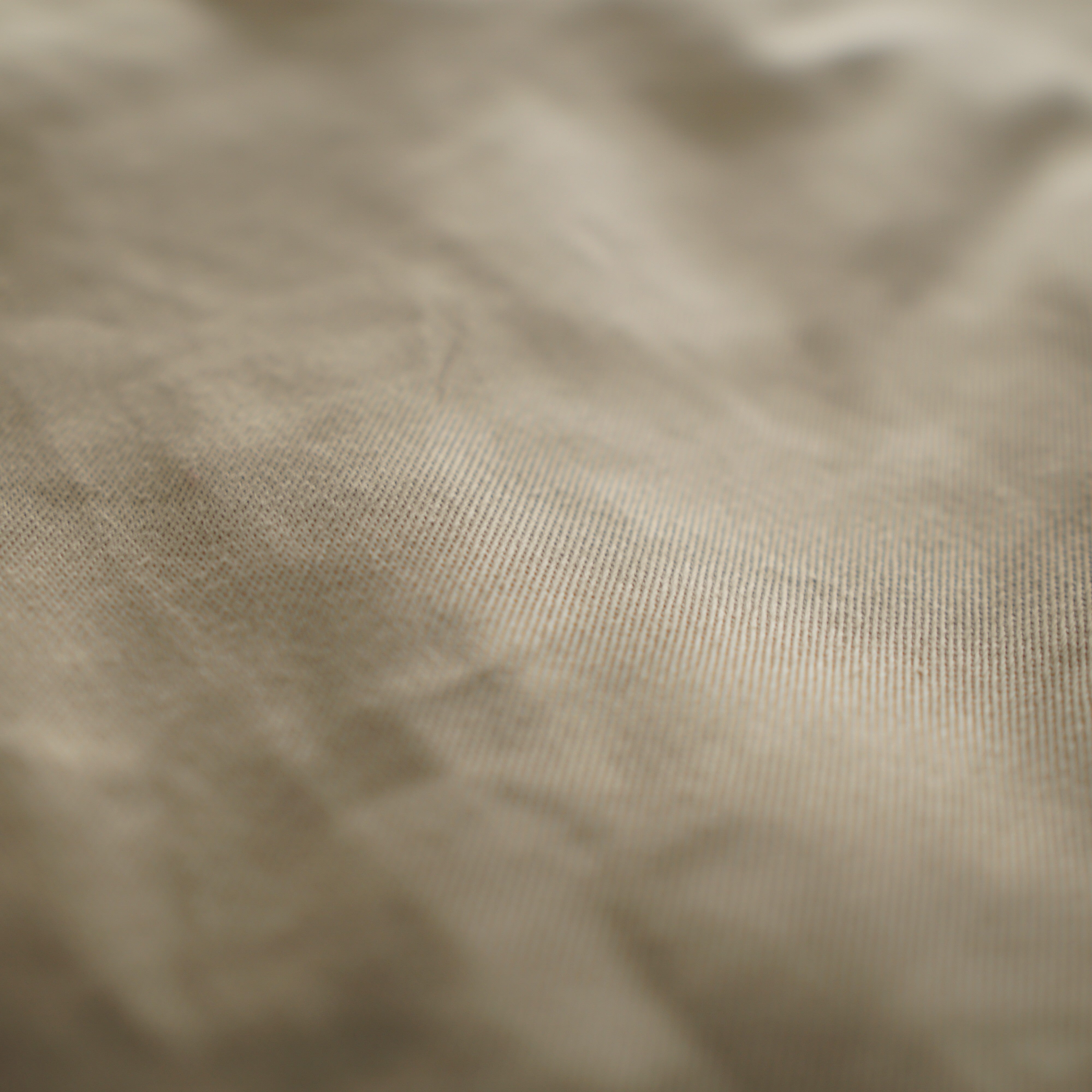 Ordinary Truth M45 Chino Pants